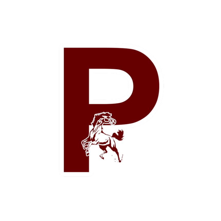 PIONEER MUSTANGS - DECAL