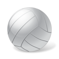 VOLLEYBALL