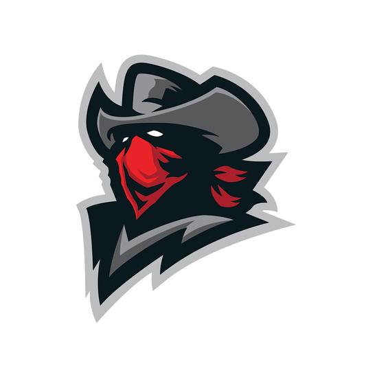 BANDITS CAR DECAL