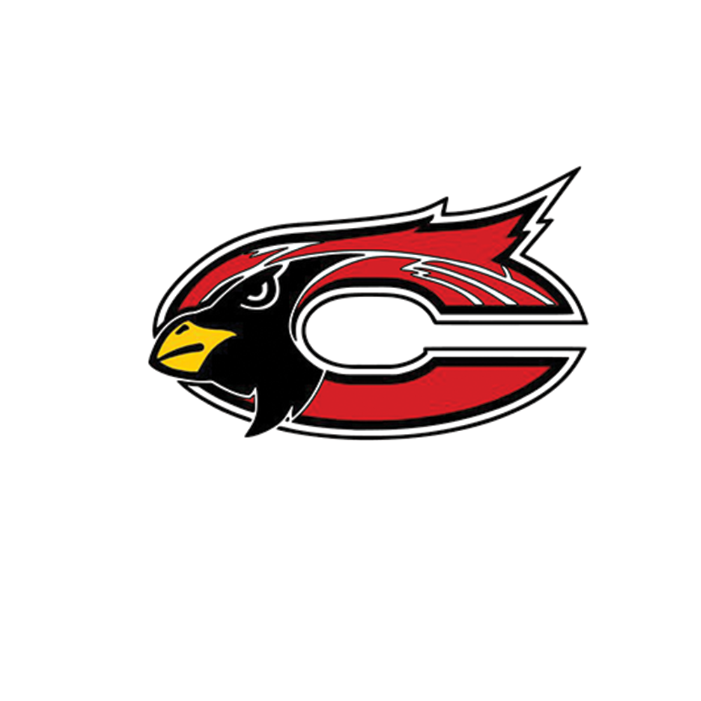 MEDFORD CARDINALS - DECAL