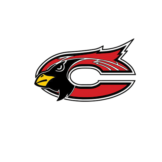 MEDFORD CARDINALS - DECAL