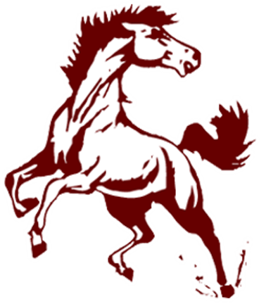 PIONEER MUSTANG DECAL