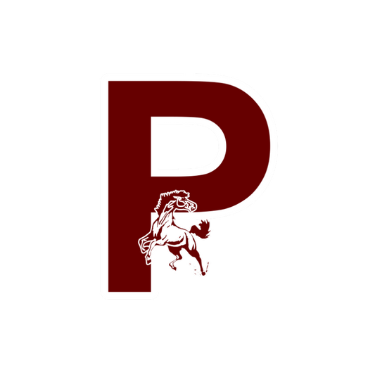 PIONEER MUSTANGS - DECAL